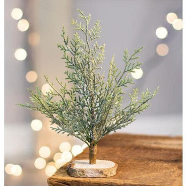 Frosted Cypress Tree 8 - The Fox Decor